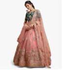 Womens Net Embroidered Semi-Stitched Lehenga Choli with Dupatta | Traditional, Wedding, Ethnic WearLehenga for Women and Girls