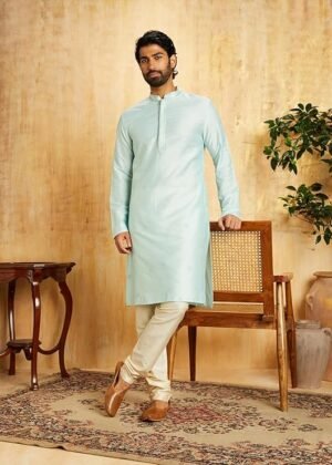 Men’s Rayon Blend Festive Embroidery Long Kurta-Regular Fit (Pista Green)